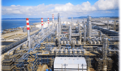 Flue Gas Treatment Project (DeSOx &DeNOx)
